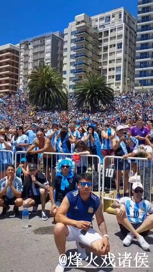 世界杯滚球最新热门动态解析